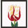 Thea Gouverneur Flamed Tulip Counted Cross-Stitch Kit Thea Gouverneur Flamed Tulip Counted Cross-Stitch Kit