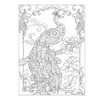 Dover Birds & Blossoms Coloring Book