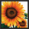 Sunflowers No Count Counted Cross-Stitch Kit Sunflowers No Count Counted Cross-Stitch Kit