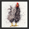 Bothy Threads Curious Hen Counted Cross-Stitch Kit Bothy Threads Curious Hen Counted Cross-Stitch Kit