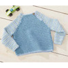 Wild Blueberry Pullover Download Wild Blueberry Pullover Download