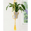 Lion Brand Simple Plant Hanger Free Download