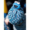 Lion Brand Sesame Street Hat Pattern - Cookie Monster Free Download