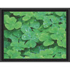 Sunrays Creations Needlearts Dew Covered Clover Chart & Fabric Counted Cross-Stitch Sunrays Creations Needlearts Dew Covered Clover Chart & Fabric Counted Cross-Stitch