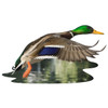 Madd Capp I Am Duck Jigsaw Puzzle Madd Capp I Am Duck Jigsaw Puzzle