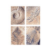 Schipper Fossils Paint by Number Kit Schipper Fossils Paint by Number Kit