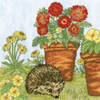 Bothy Threads Potted Garden Counted Cross-Stitch Kit Bothy Threads Potted Garden Counted Cross-Stitch Kit