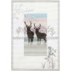 Bothy Threads Misty Mornings - Frosty Deer Counted Cross-Stitch Kit Bothy Threads Misty Mornings - Frosty Deer Counted Cross-Stitch Kit