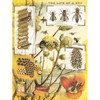 New York Puzzle Company Bees & Honey Jigsaw Puzzle New York Puzzle Company Bees & Honey Jigsaw Puzzle