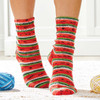 Premier Fruit Socks Knit Kit Premier Fruit Socks Knit Kit