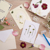 Bee & Bumble Flower Pressing Craft Kit Bee & Bumble Flower Pressing Craft Kit