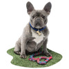 Madd Capp I am Frenchie Jigsaw Puzzle