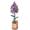 Robotime Lilac Flower Model - Wood Robotime Lilac Flower Model - Wood