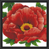 Needleart World Peony Kit & Frame No Count Counted Cross-Stitch Kit