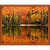 Lake Reflection in Autumn Paint by Number Kit Lake Reflection in Autumn Paint by Number Kit