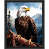 Adbrain Majestic Eagle Paint by Number Kit Adbrain Majestic Eagle Paint by Number Kit