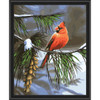 Winnie’s Picks On Watch-Cardinal Kit & Frame Paint by Number Kit Winnie’s Picks On Watch-Cardinal Kit & Frame Paint by Number Kit