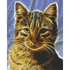 PixelHobby Cat Fractal Mosaic Art Kit PixelHobby Cat Fractal Mosaic Art Kit