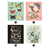 Brain Games Vintage Butterflies Sticker by Number