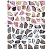 Brain Games Enchanted Forest Sticker by Number