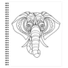 Brain Games Large Print Nature Coloring Book