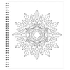 Brain Games Large Print Nature Coloring Book