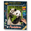 Schipper Pandas Paint by Number Kit