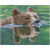 Diamond Dotz Grizzly Swim Diamond Painting
