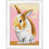 Orchidea Bunny Needlepoint Kit