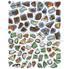 Brain Games Vintage Forest Sticker by Number