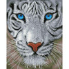 Diamond Dotz White Magic Diamond Painting