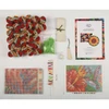 Craft Buddy Hummingbird Latch Hook Kit