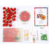 Craft Buddy Poinsettia Latch Hook Kit