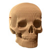 Cartonic Skull Model