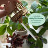 Tiny Treehouses Mini Garden Vista Model - Wood