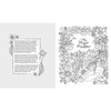 Schiffer Publishing Fantasy World Coloring Book
