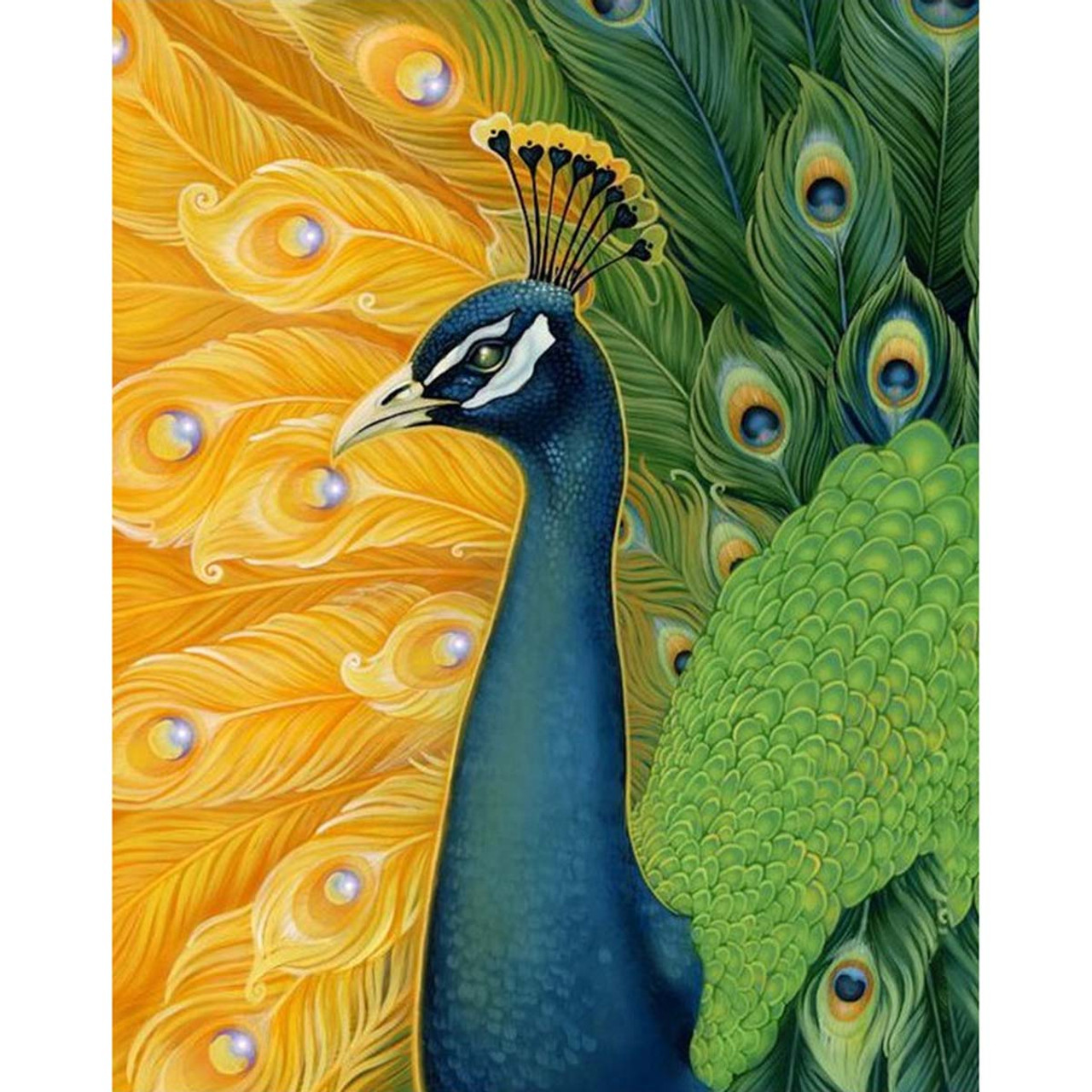 Wizardi Peacock Diamond Painting