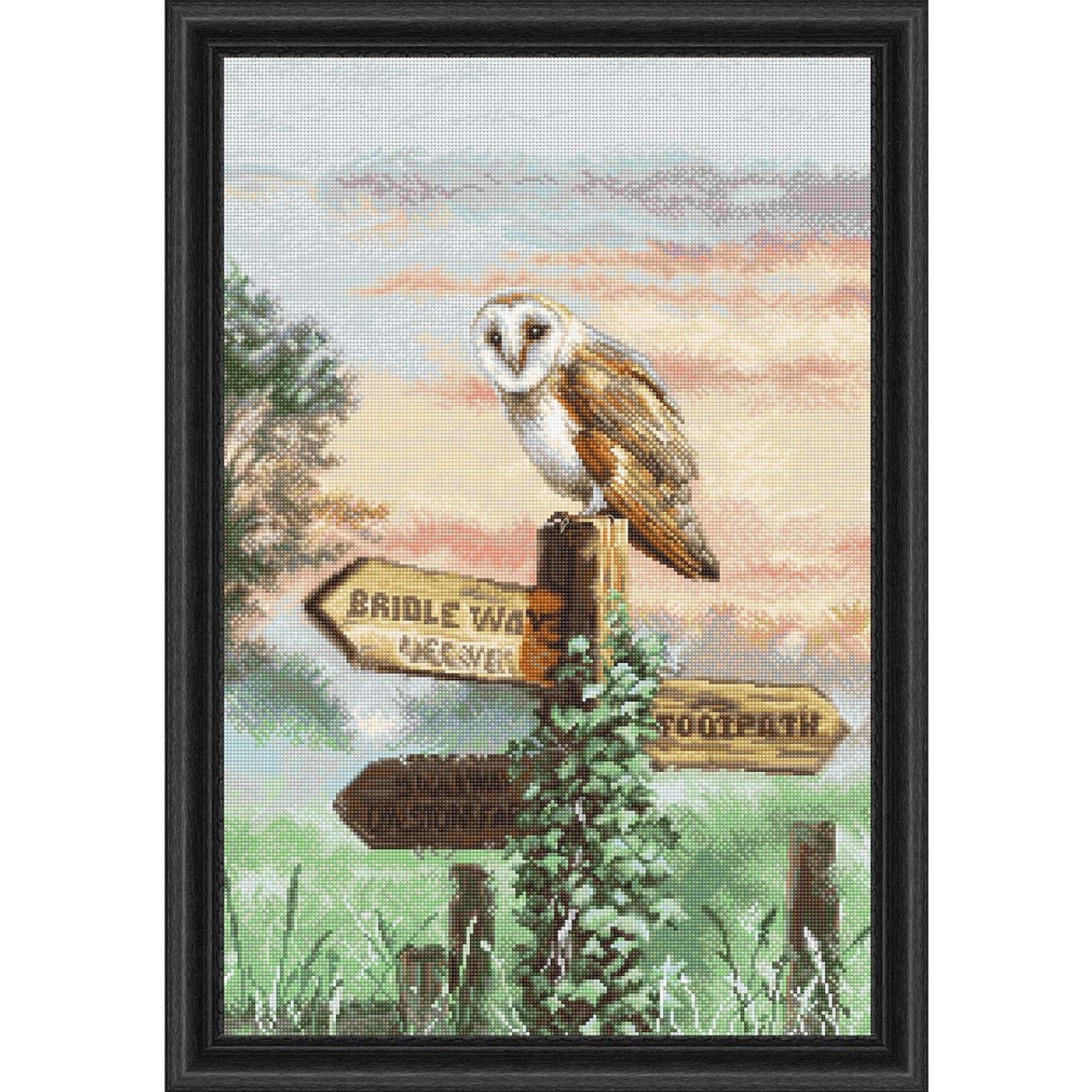 Owl Cross Stitch Kit Easy Counted Cross Stitch Kits for Beginners