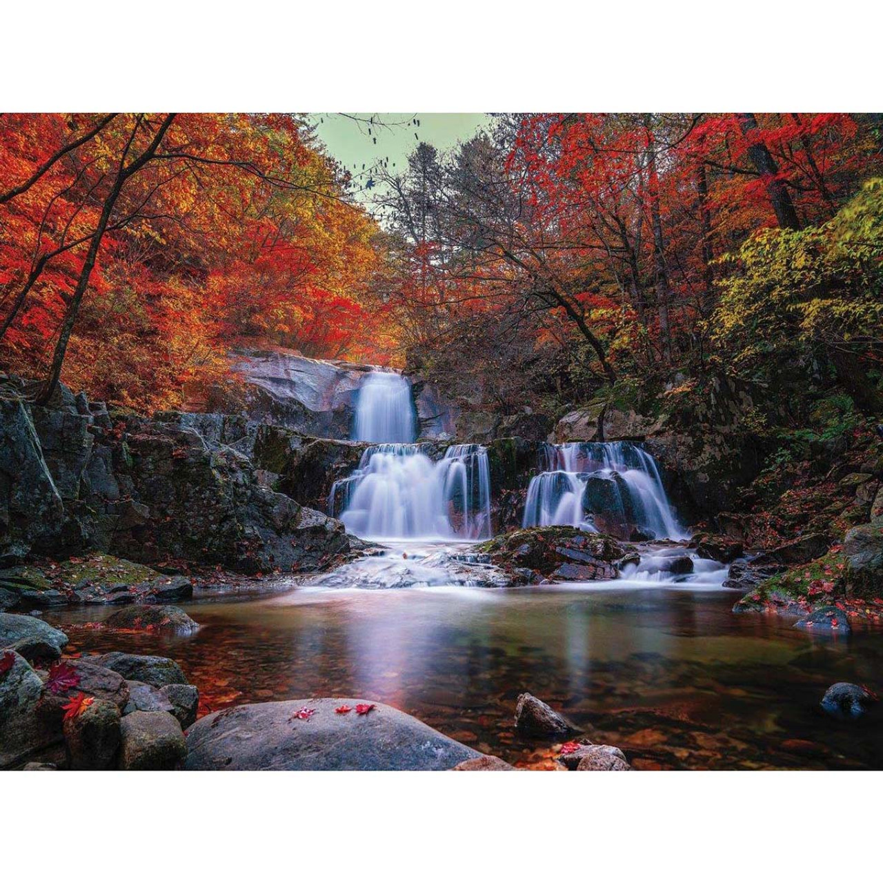 National Parks Wonderland 1000 Piece Puzzle