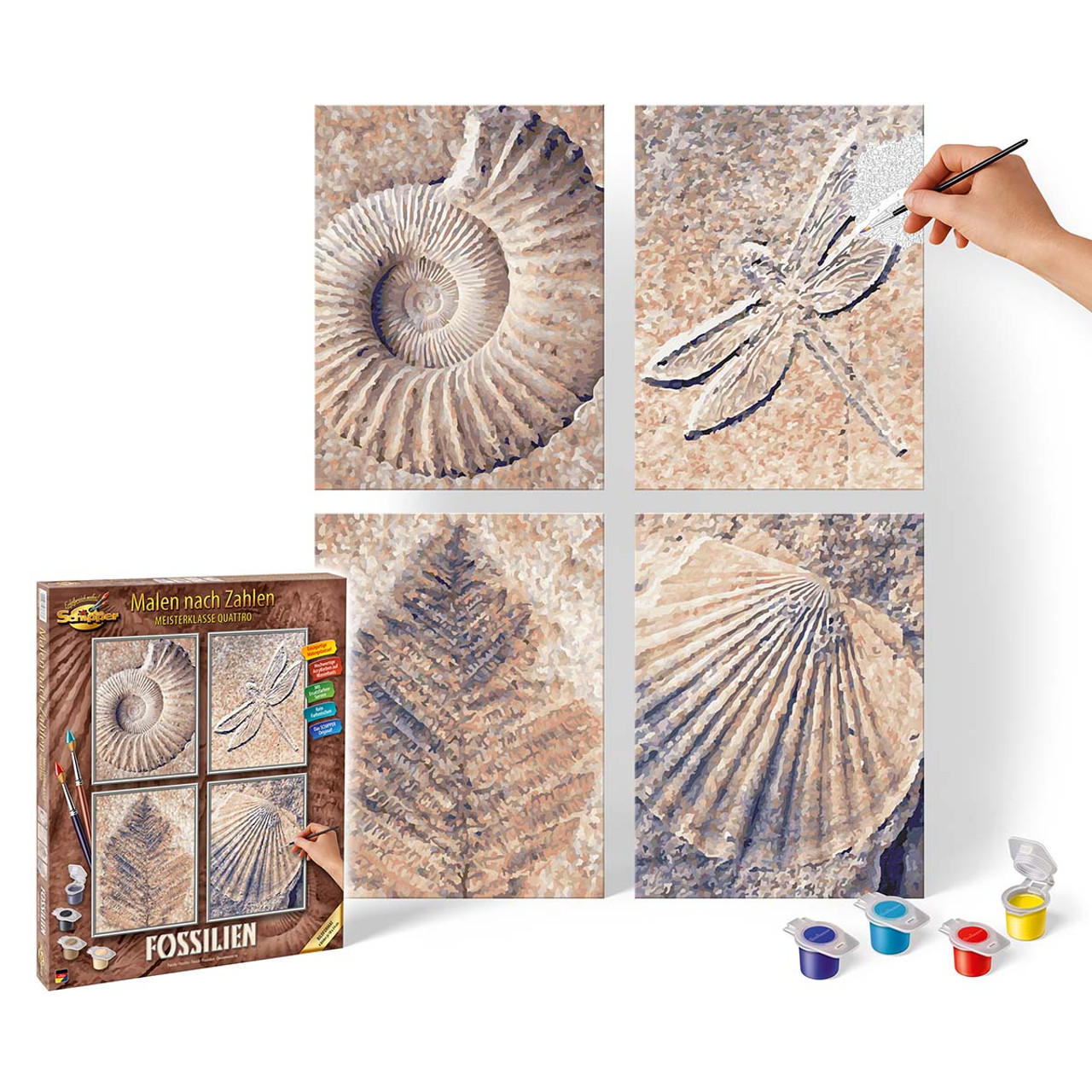 Schipper Fossils Paint by Number Kit