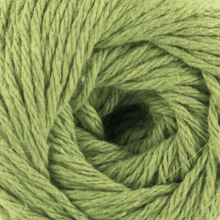Premier Home Cotton Solids and Multis Yarn - Variant Image Sage