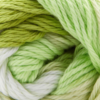 Premier Home Cotton Solids and Multis Yarn - Variant Image Sprout Stripe