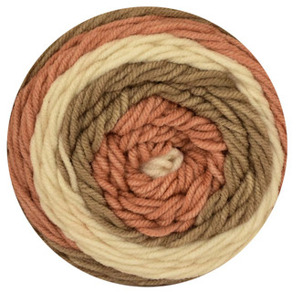 Premier Sweet Roll Yarn - Variant Image Cinnamon Pop