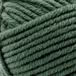 Premier Basix Chunky Yarn - Variant Image Sage