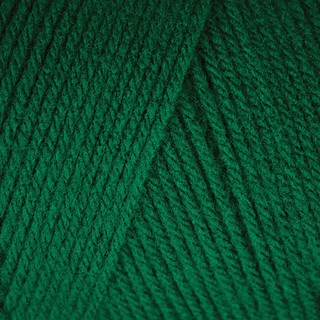 Caron One Pound Yarn - Variant Image Kelly Green