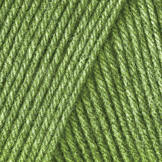 Caron One Pound Yarn - Variant Image Grass Green