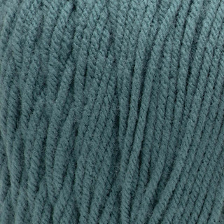 Caron One Pound Yarn - Variant Image Hosta