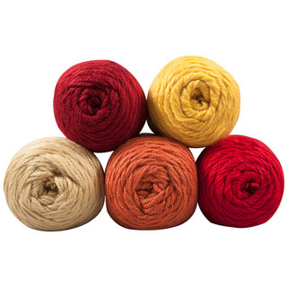 Caron Simply Soft Yarn Pack - Variant Image Fallen Leaves