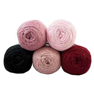 Caron Simply Soft Yarn Pack - Variant Image Flamenco