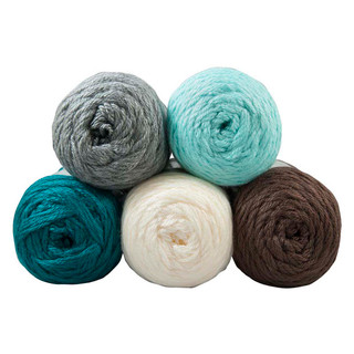 Caron Simply Soft Yarn Pack - Variant Image Pagoda